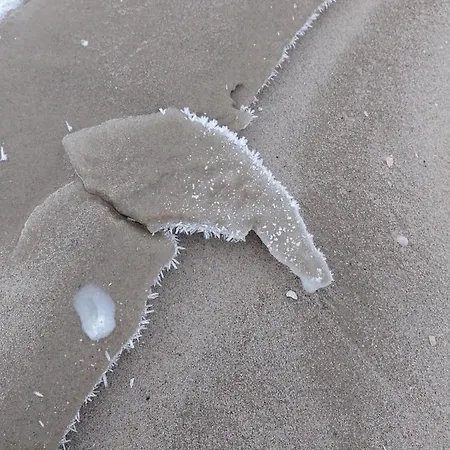 Haus Arvert Appartamento *